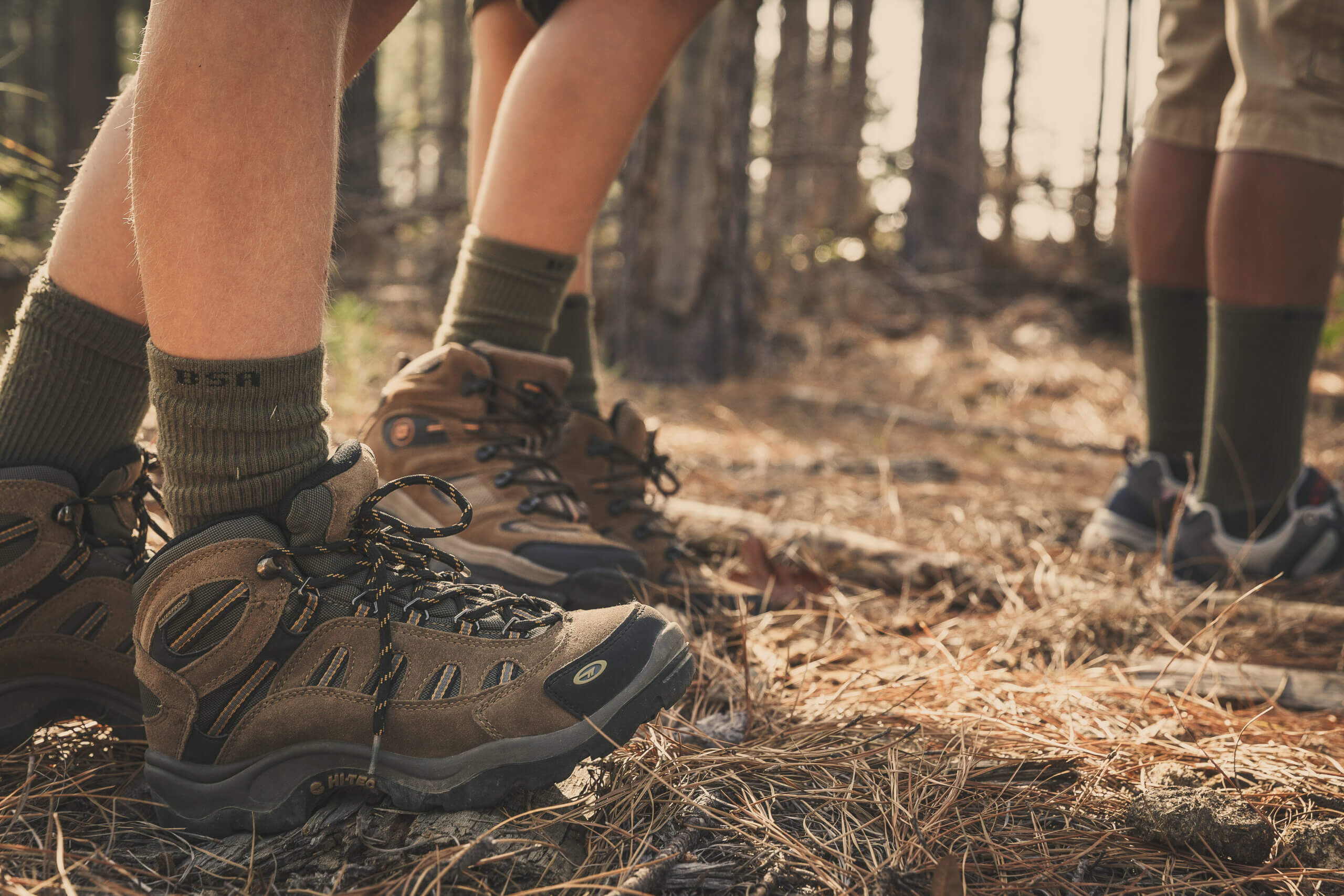 Hiking Boots